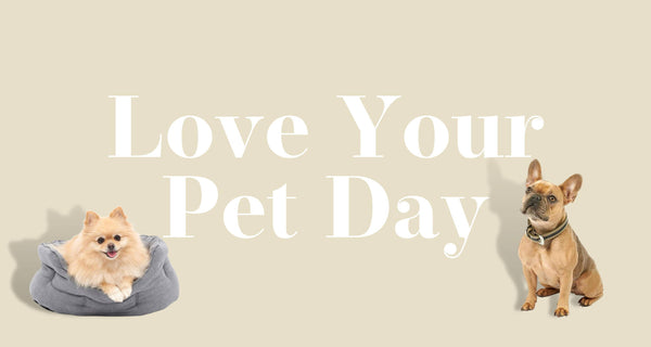 Love Your Pet Day